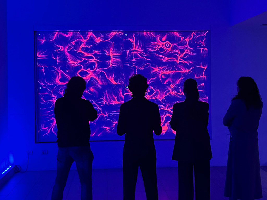 Tre persone in silhouette, di spalle, davanti a una grande parete luminosa che mostra un'opera dalle linee e dai vortici rosa e magenta su fondo blu.